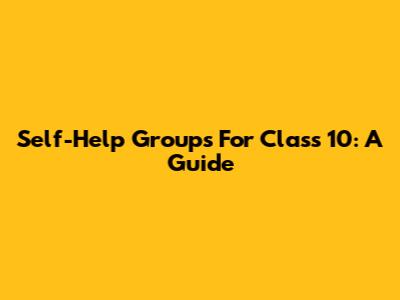 Self-Help Groups For Class 10: A Guide