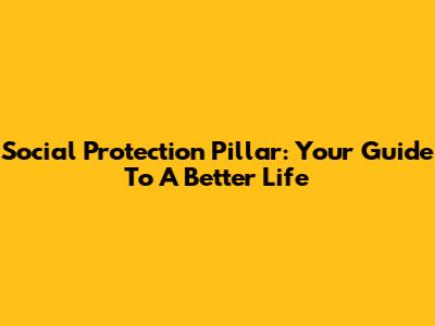 Social Protection Pillar: Your Guide To A Better Life