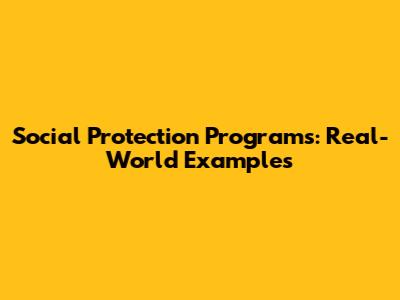 Social Protection Programs: Real-World Examples