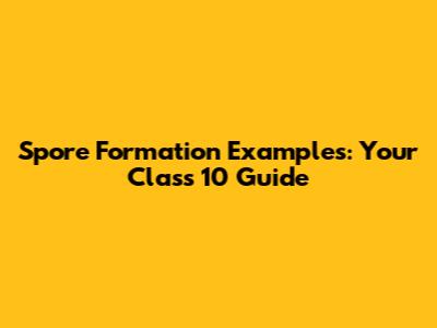Spore Formation Examples: Your Class 10 Guide