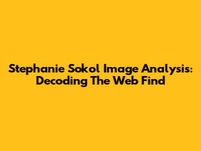 Stephanie Sokol Image Analysis: Decoding The Web Find