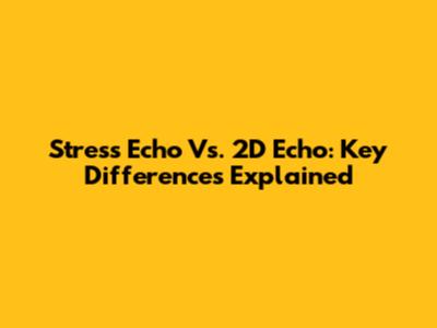 Stress Echo Vs. 2D Echo: Key Differences Explained