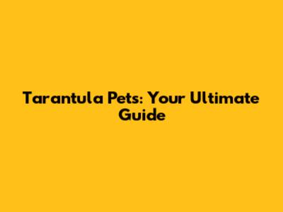 Tarantula Pets: Your Ultimate Guide