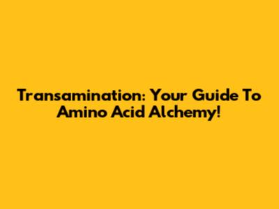 Transamination: Your Guide To Amino Acid Alchemy!