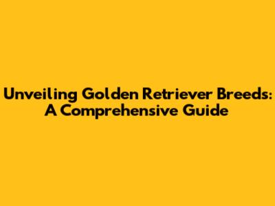 Unveiling Golden Retriever Breeds: A Comprehensive Guide