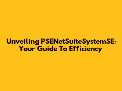 Unveiling PSENetSuiteSystemSE: Your Guide To Efficiency