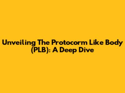 Unveiling The Protocorm Like Body (PLB): A Deep Dive