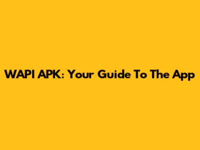 WAPI APK: Your Guide To The App
