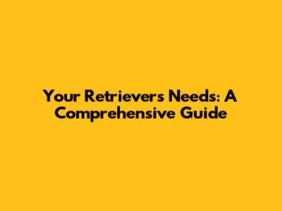 Your Retriever's Needs: A Comprehensive Guide